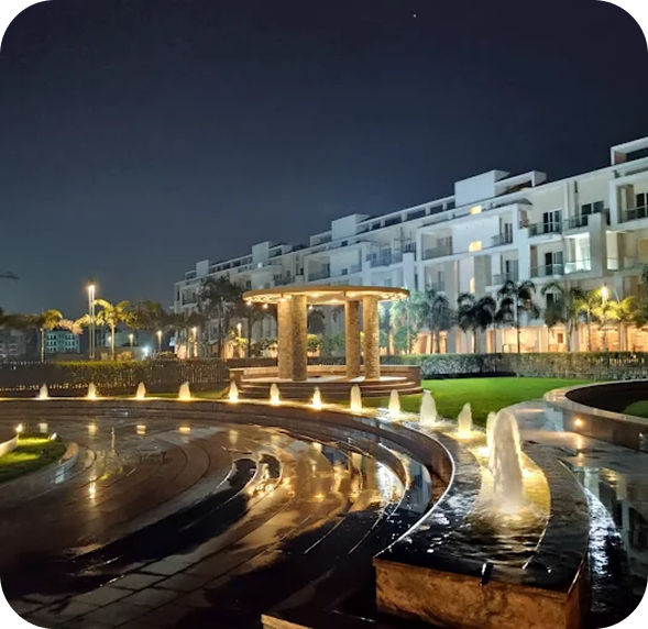 Night View of Society